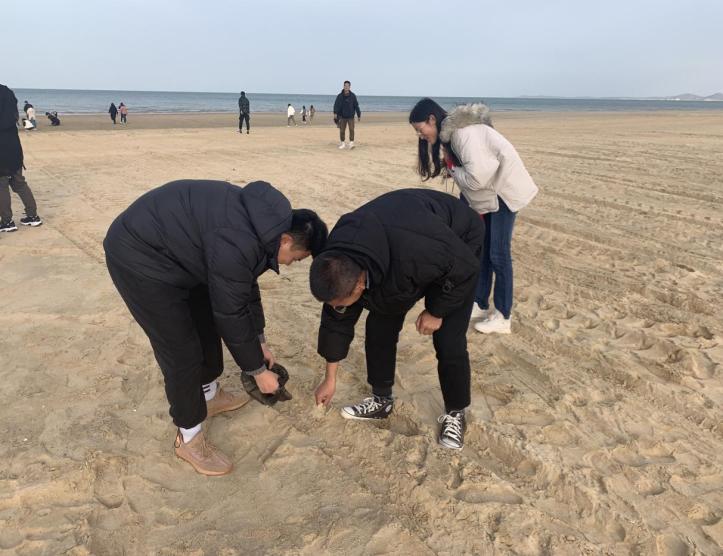 沙滩上的人们描述已自动生成 沙滩上的人们描述已自动生成